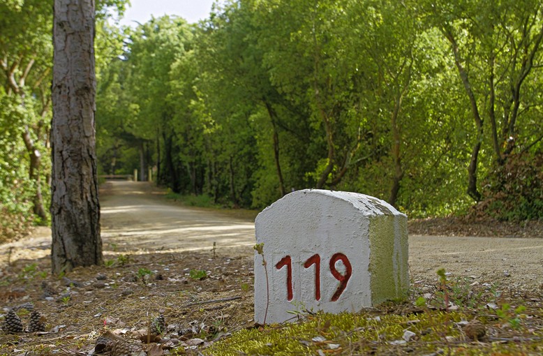 En balade dans la forêt domaniale avec L’immobilière Vendéenne